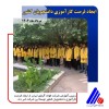 ایجاد فرصت کارآموزی دانشجویان کشور توسط فولاد آلیاژی ایران